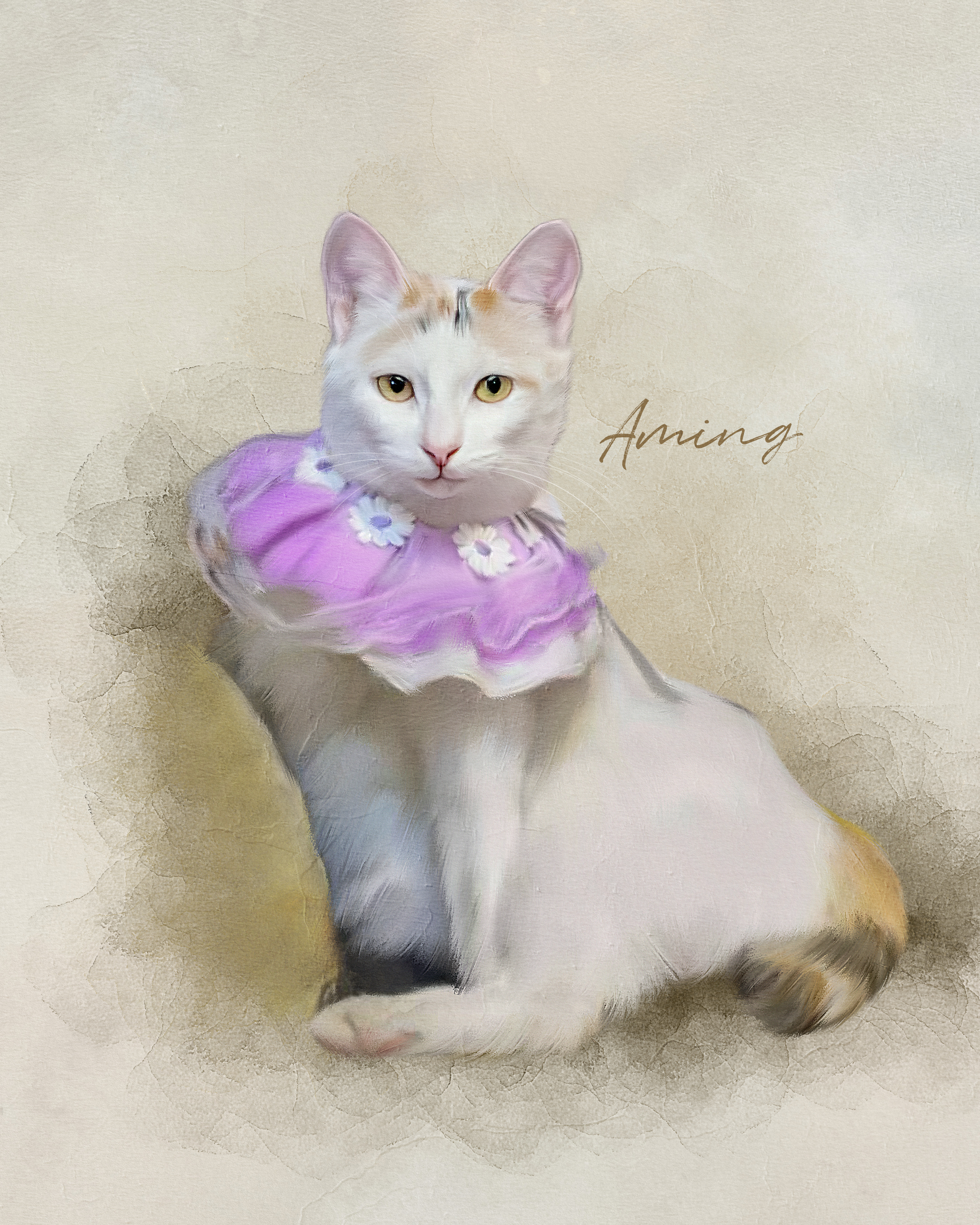 Aming, a resident cat at Angel's Cat Cafe