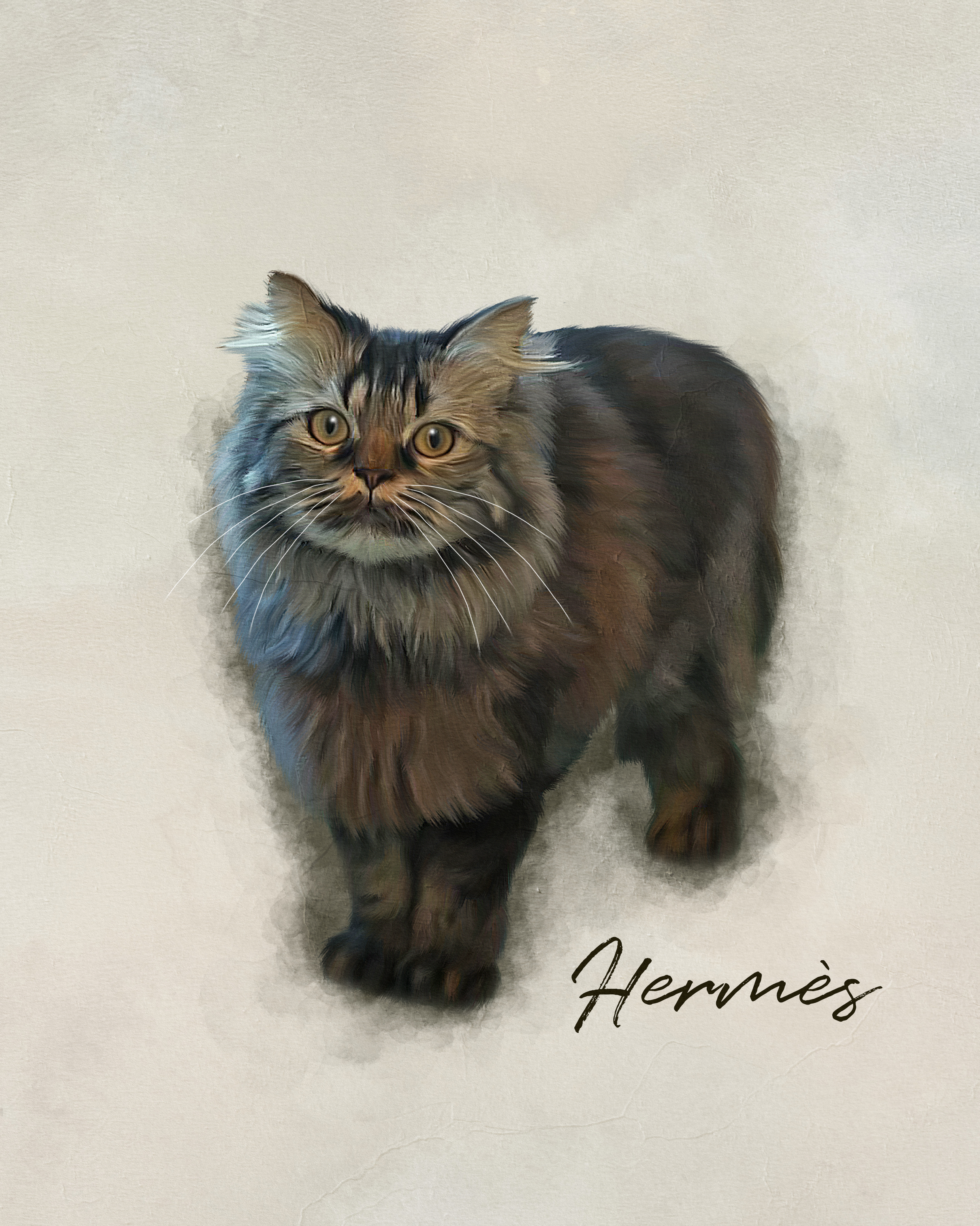 Hermès, a resident cat at Angel's Cat Cafe