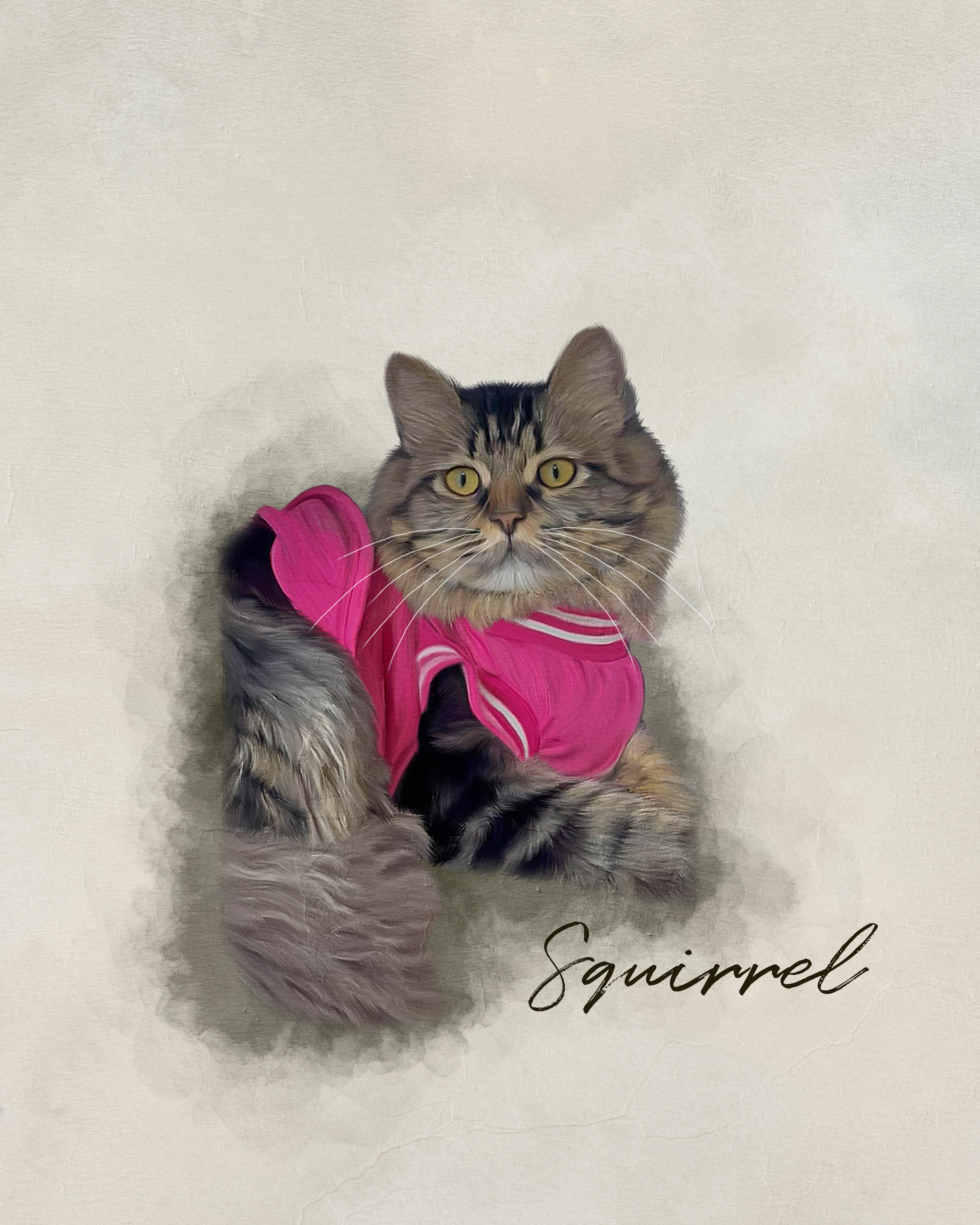 Squirrel, a resident cat at Angel's Cat Cafe